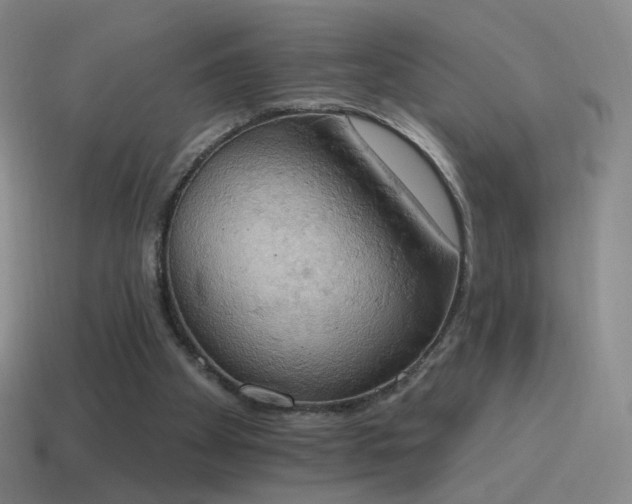 X0000115590105200911101246