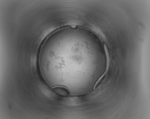 X0000115590108200911101246