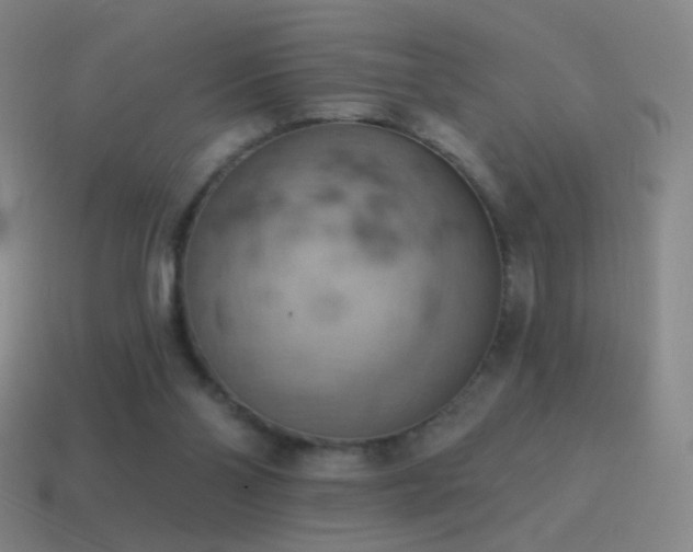 X0000115590110200911101246