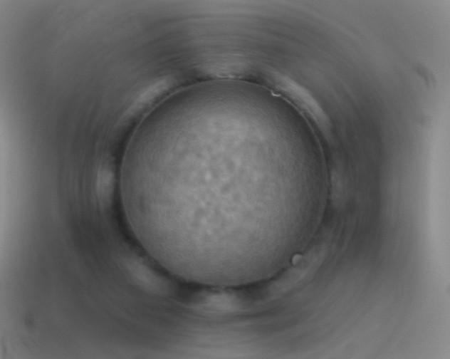 X0000115590113200911101246