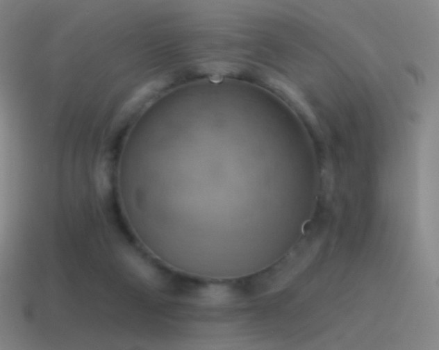 X0000115590114200911101246
