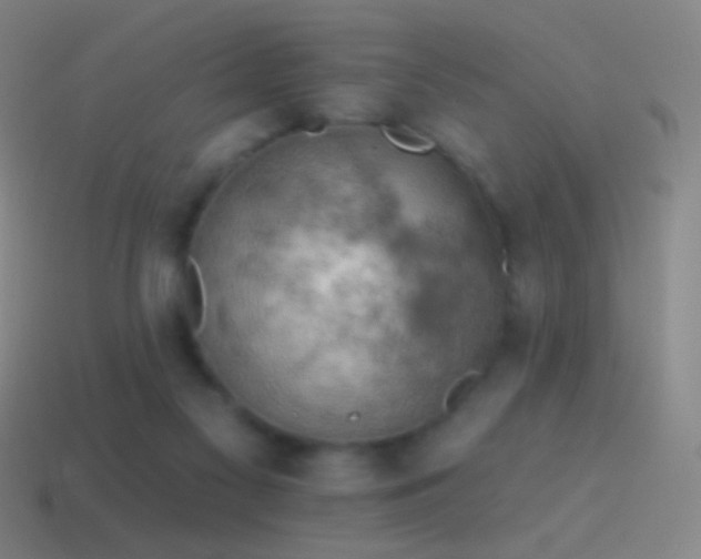 X0000115590117200911101246