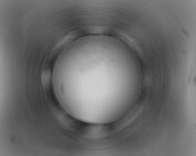 X0000115590118200911101246