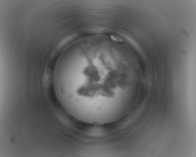 X0000115590119200911101246