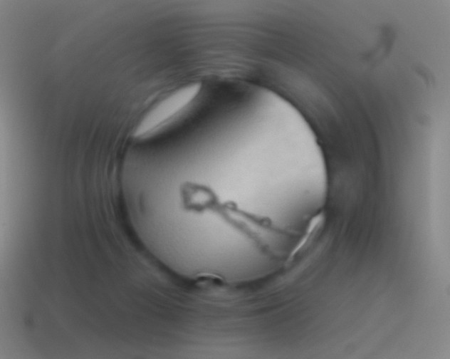 X0000115590121200911101246