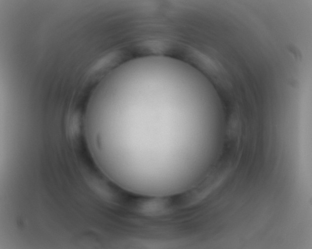 X0000115590122200911101246
