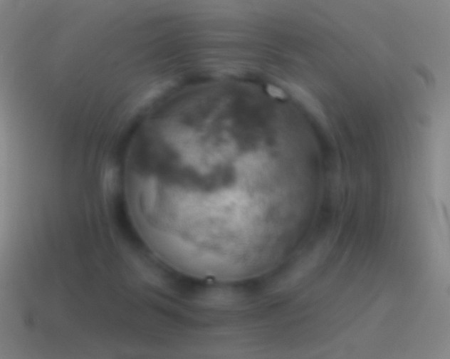 X0000115590123200911101246