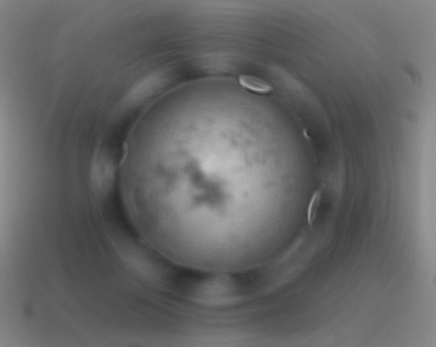 X0000115590124200911101246