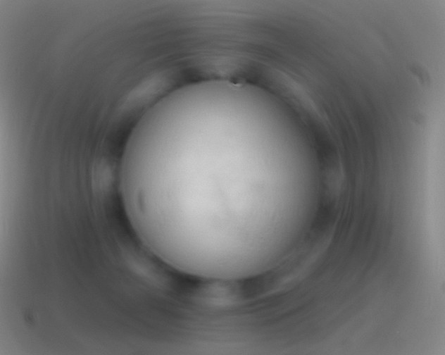 X0000115590126200911101246