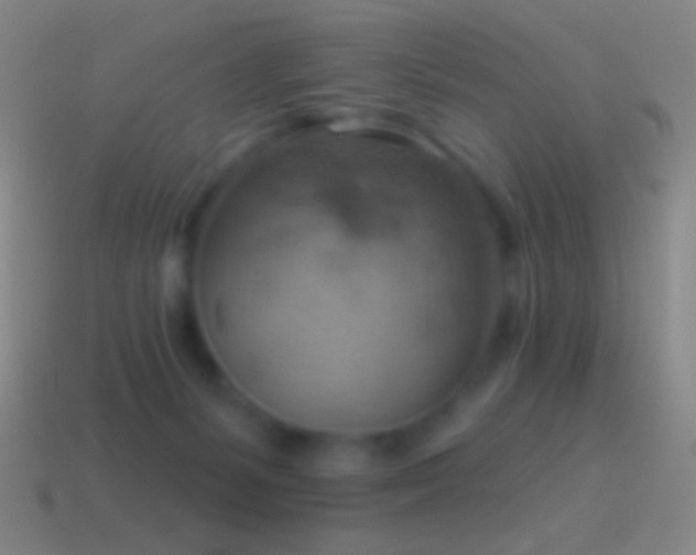 X0000115590127200911101246