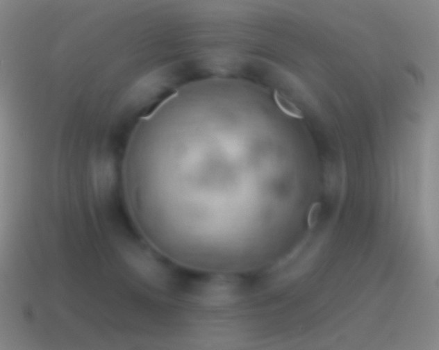 X0000115590128200911101246