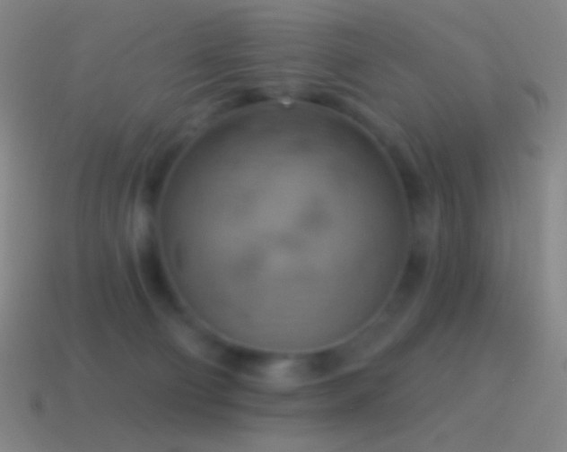 X0000115590130200911101246