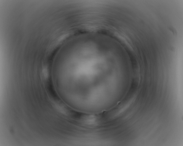 X0000115590131200911101246