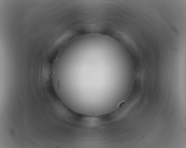 X0000115590133200911101246