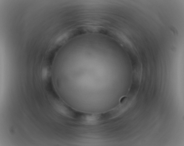 X0000115590134200911101246