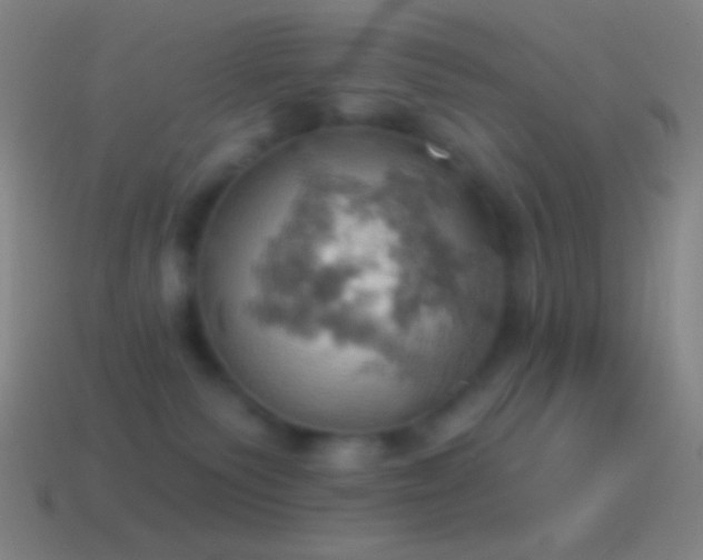 X0000115590135200911101246