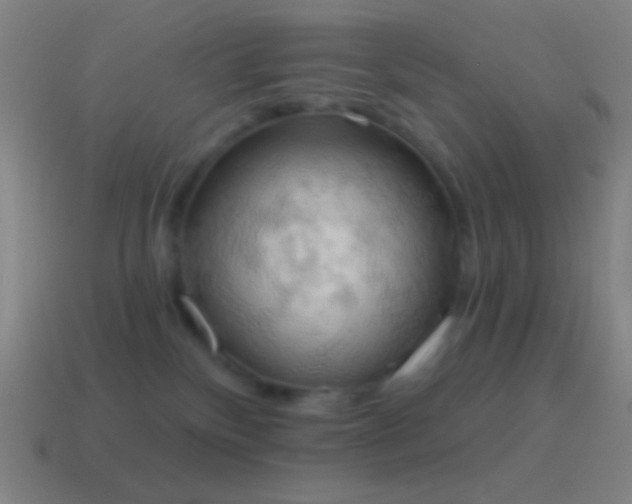 X0000115590136200911101246