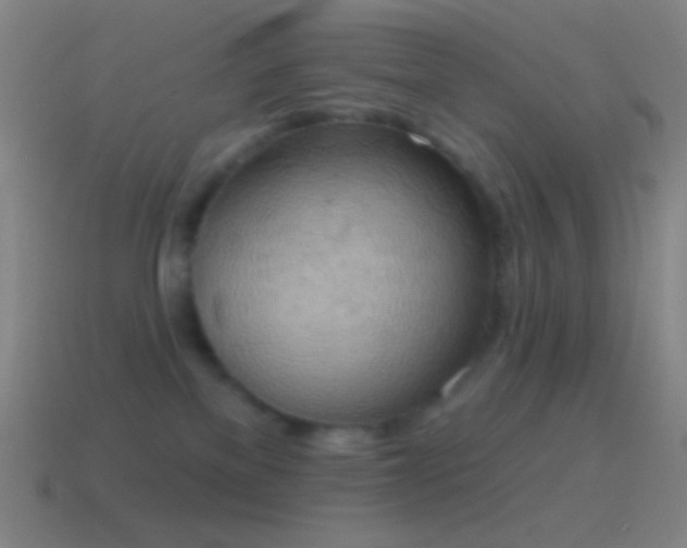 X0000115590137200911101246