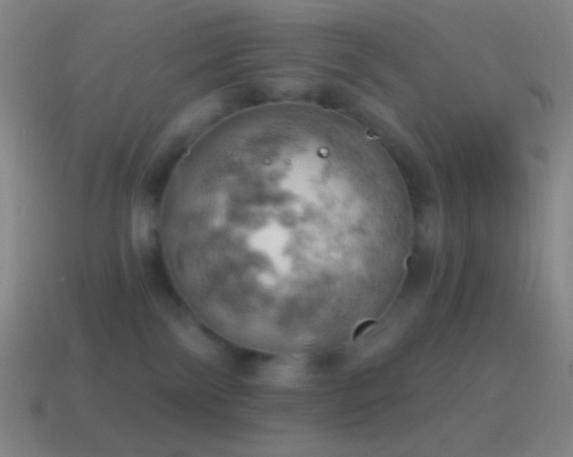 X0000115590138200911101246