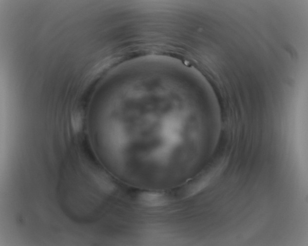 X0000115590139200911101246