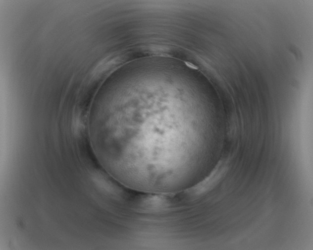 X0000115590140200911101246