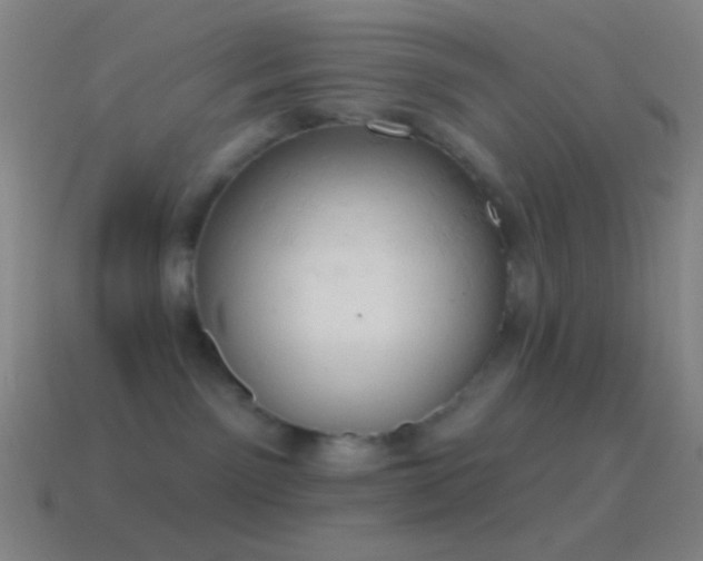 X0000115590141200911101246