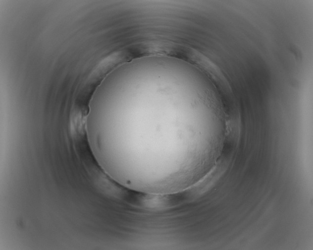 X0000115590142200911101246
