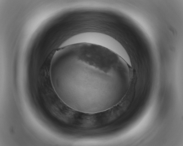 X0000115590143200911101246