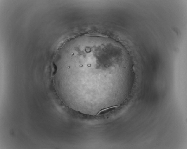 X0000115590144200911101246