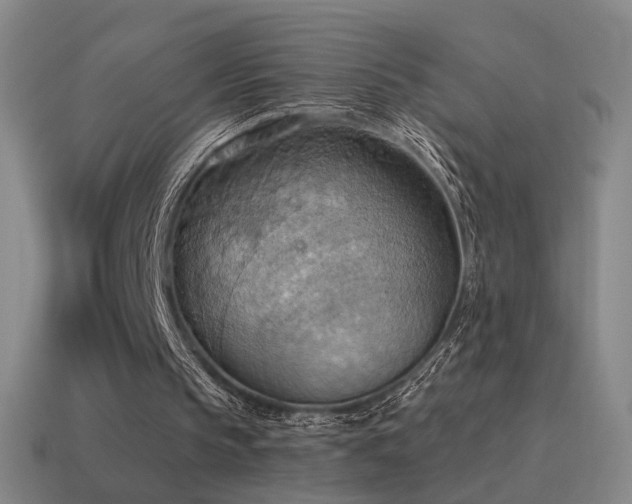 X0000115590145200911101245