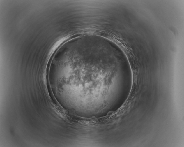 X0000115590147200911101245
