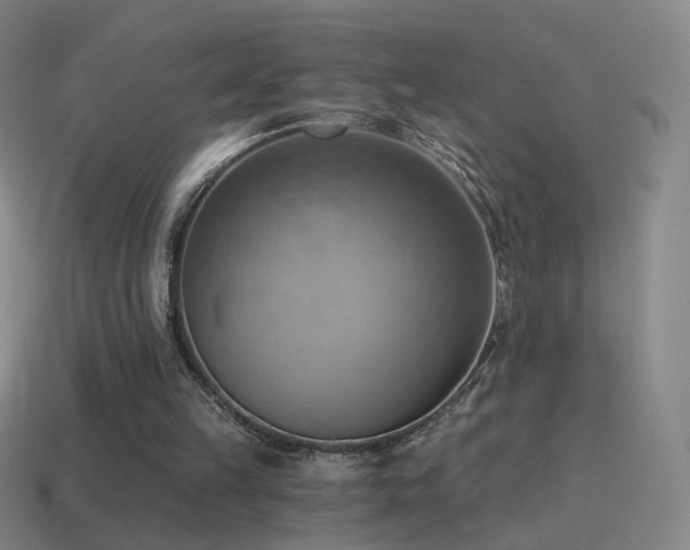 X0000115590149200911101245