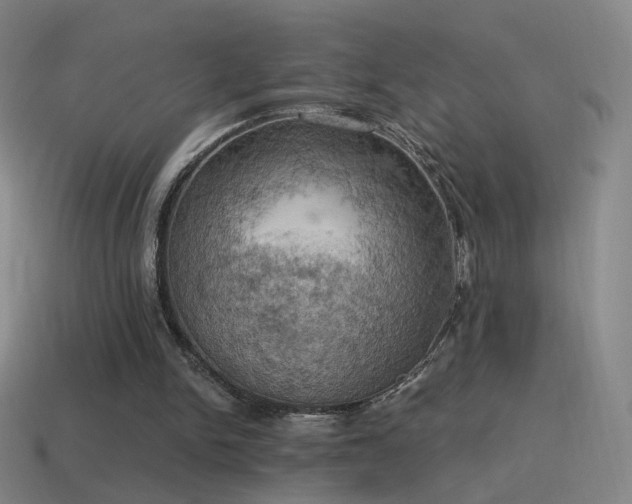 X0000115590150200911101245