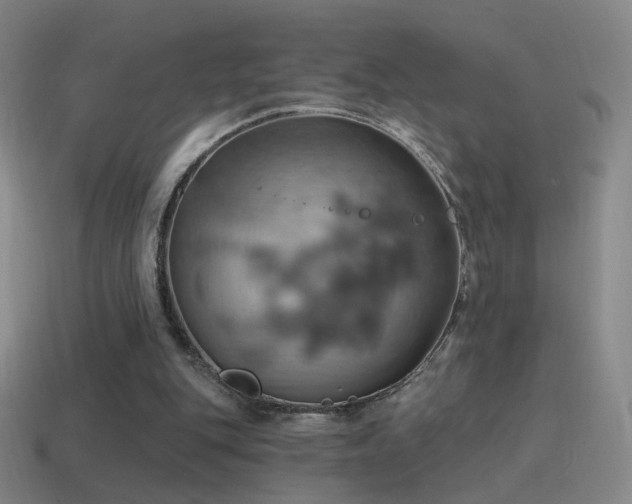 X0000115590151200911101245