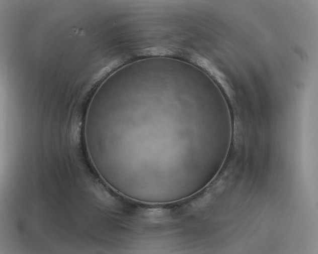 X0000115590153200911101245