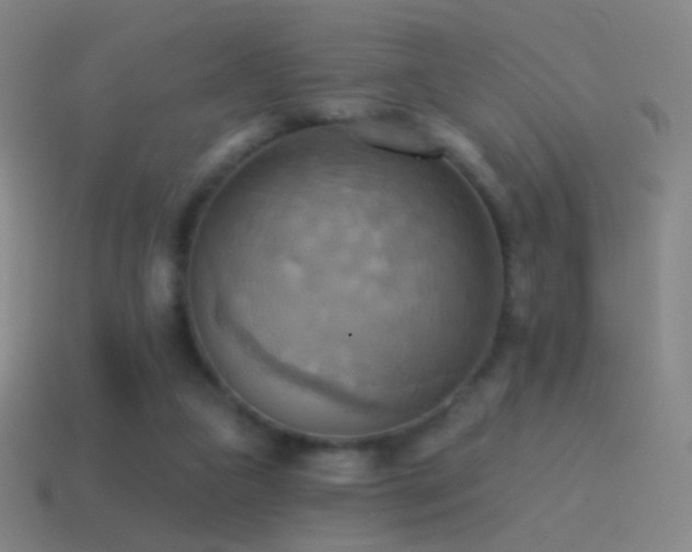 X0000115590161200911101245