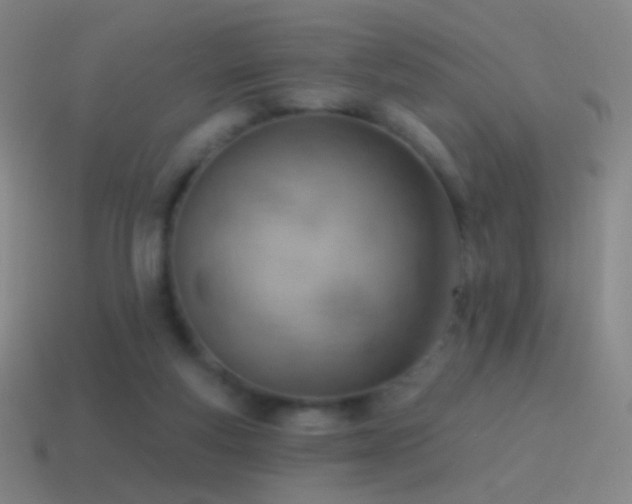 X0000115590163200911101245