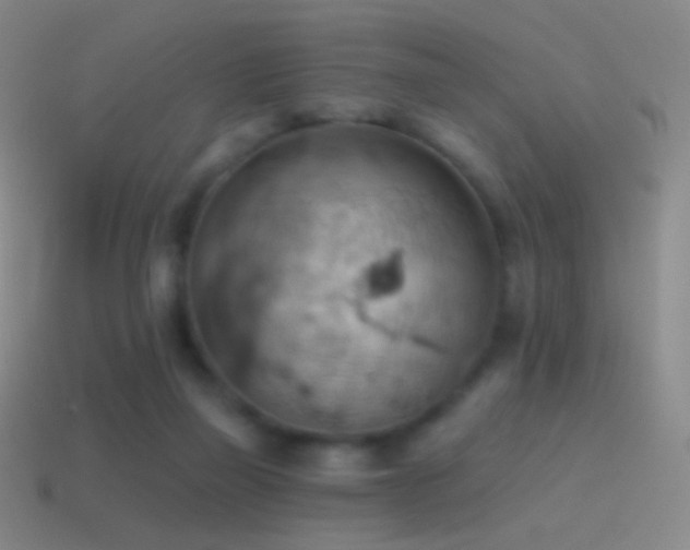 X0000115590165200911101245