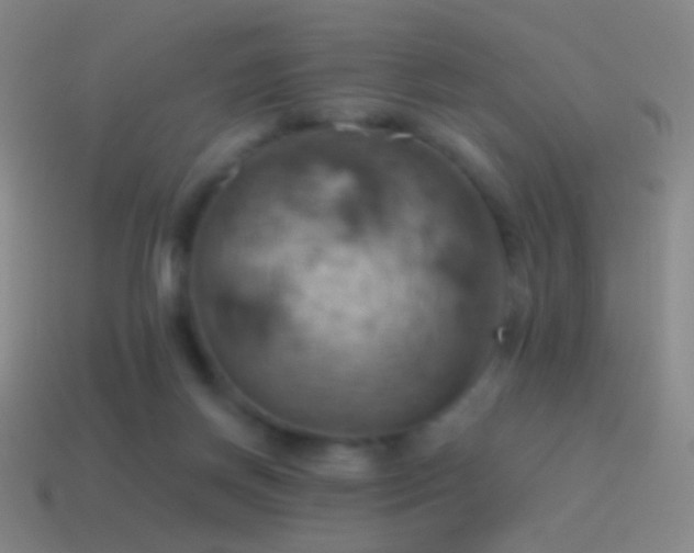 X0000115590166200911101245