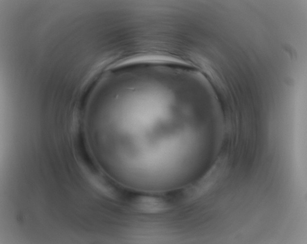 X0000115590167200911101245