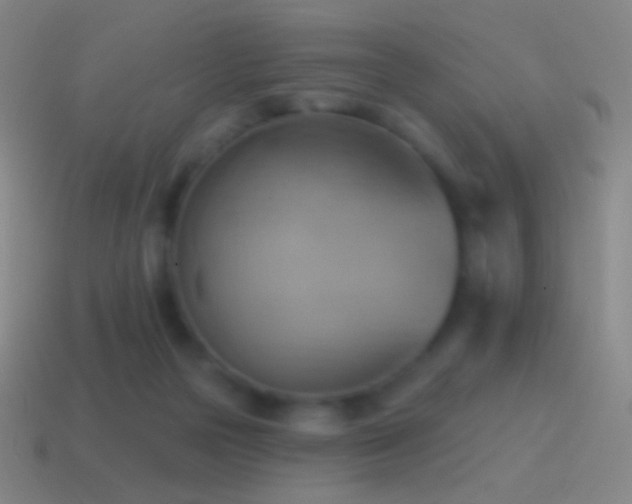 X0000115590169200911101245