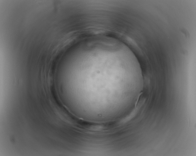 X0000115590170200911101245