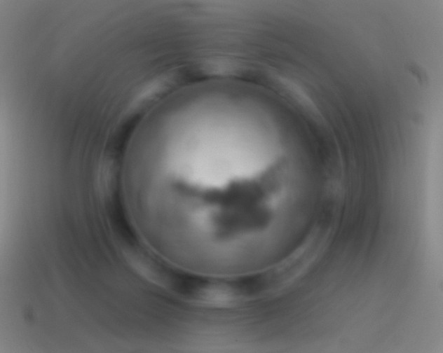 X0000115590171200911101245
