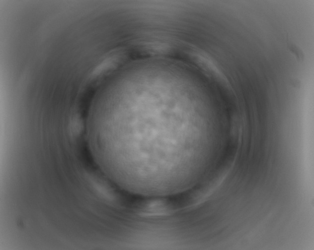X0000115590173200911101245