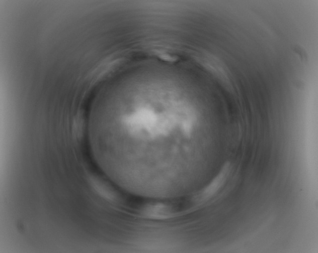 X0000115590174200911101246
