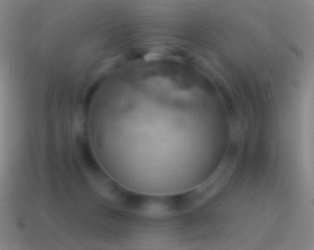 X0000115590175200911101246