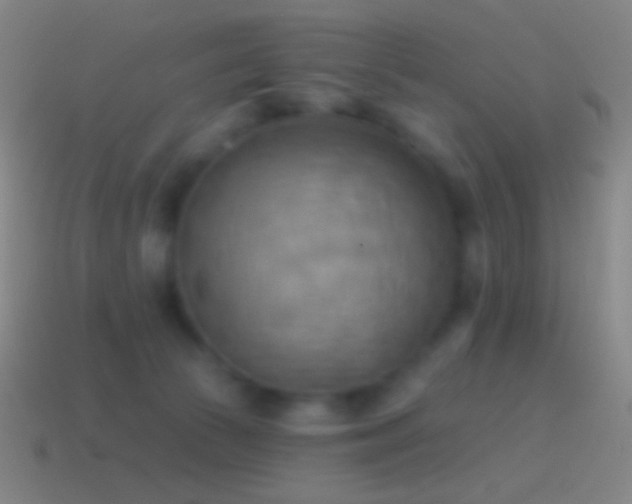 X0000115590177200911101246