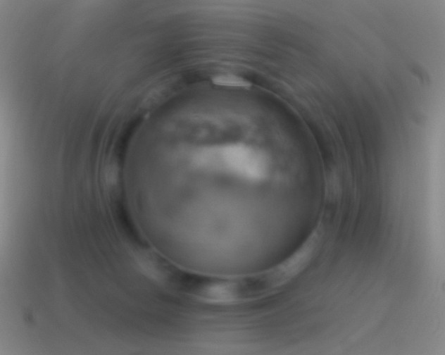 X0000115590178200911101246