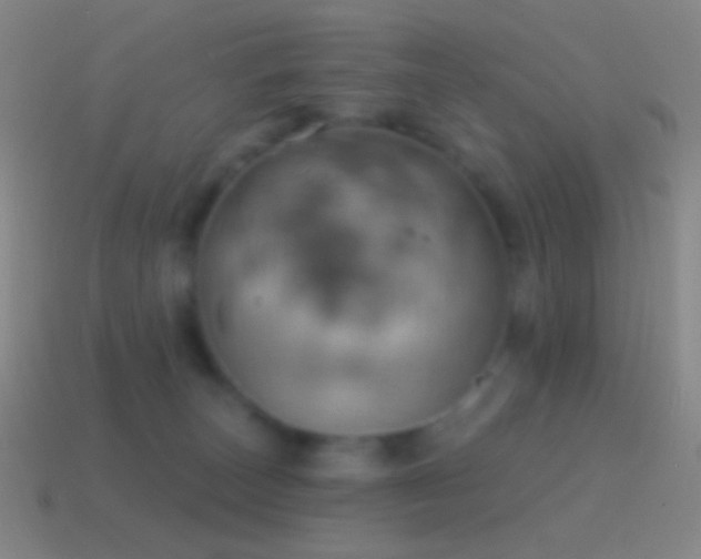 X0000115590179200911101246