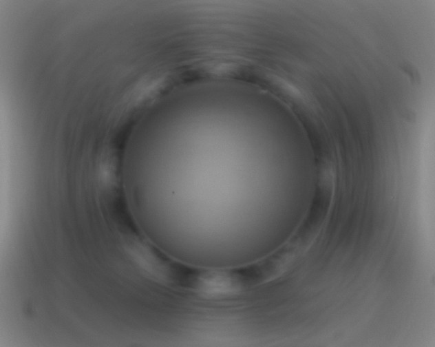 X0000115590181200911101246